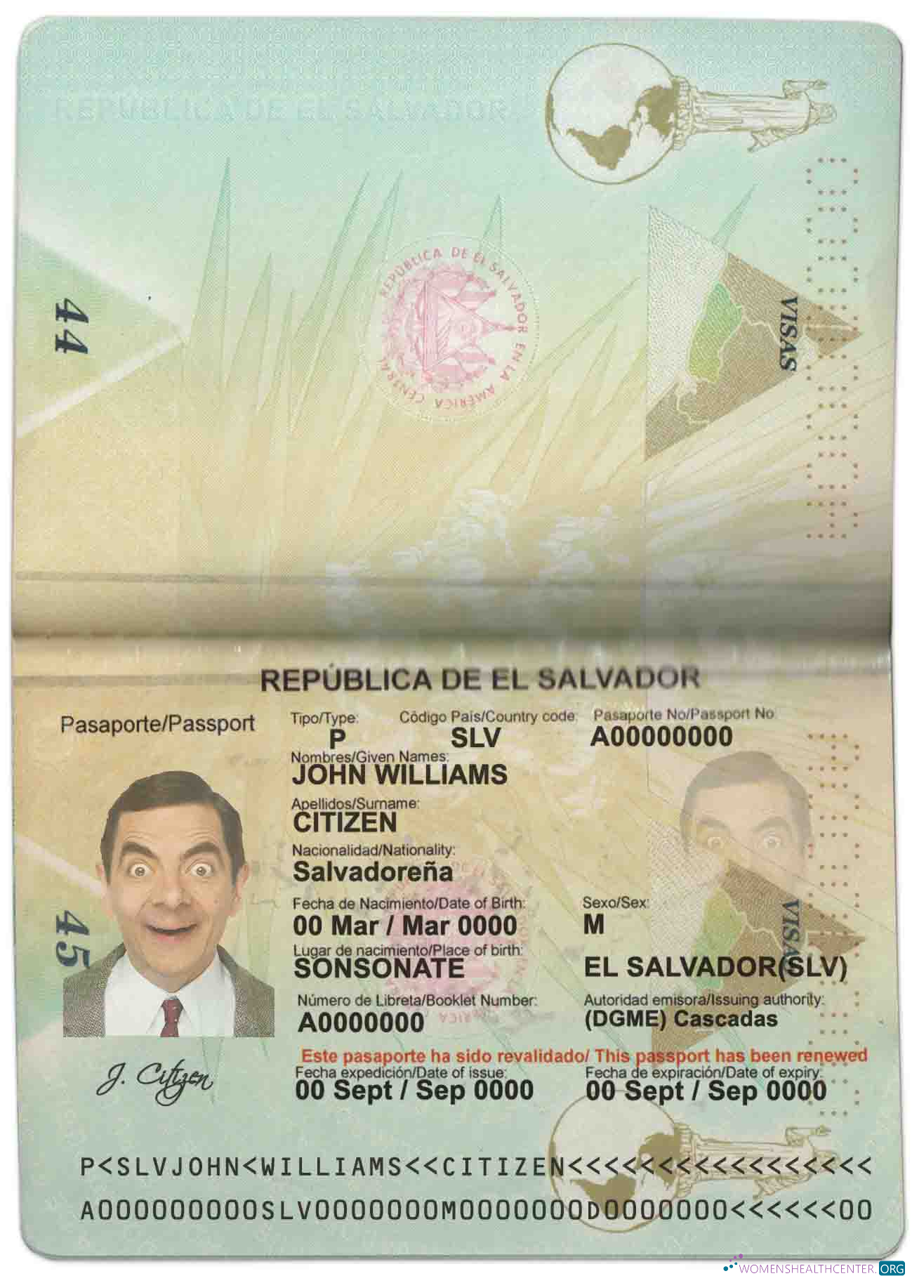 Download Salvador passport Photoshop template
